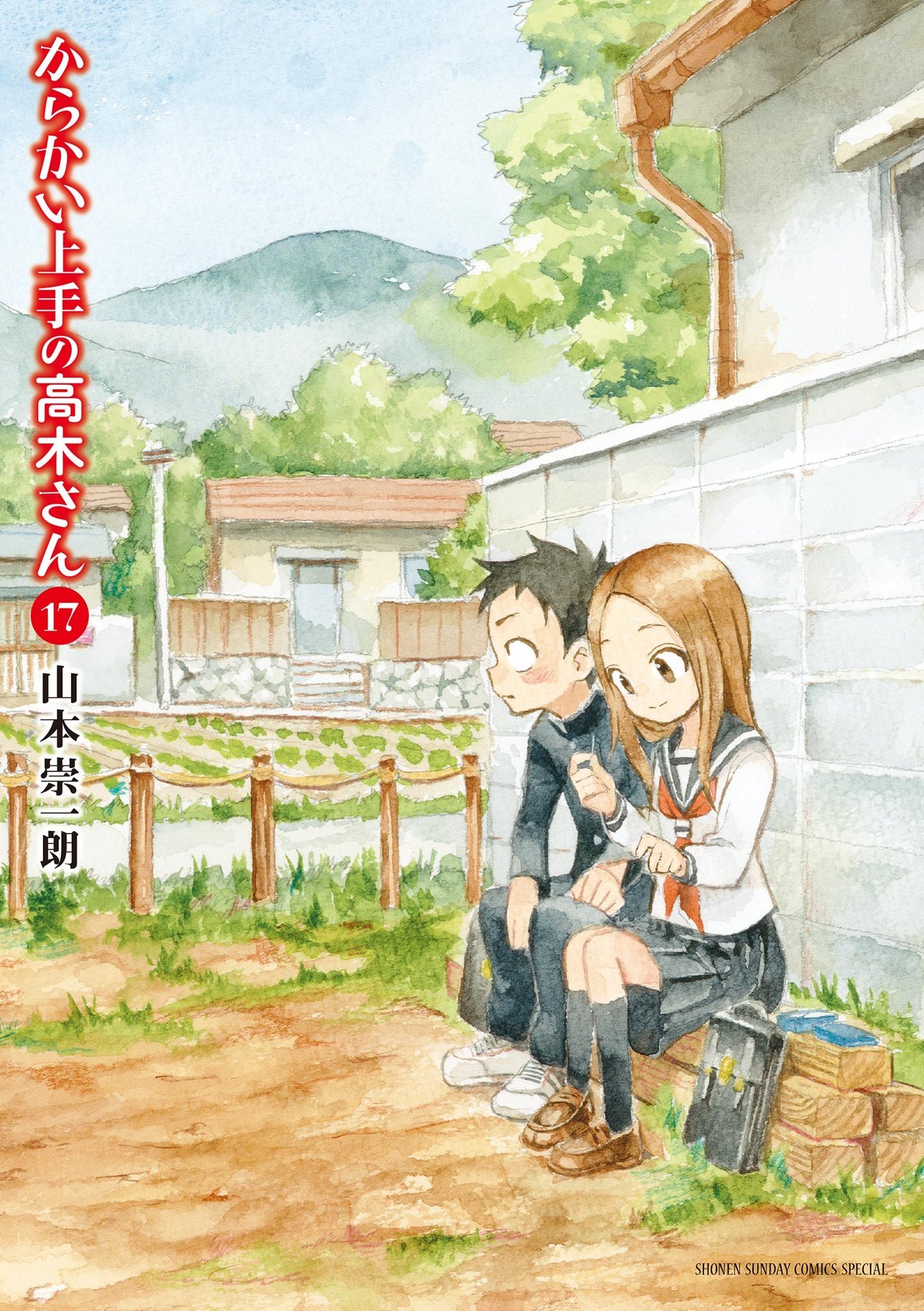 第17巻 表紙